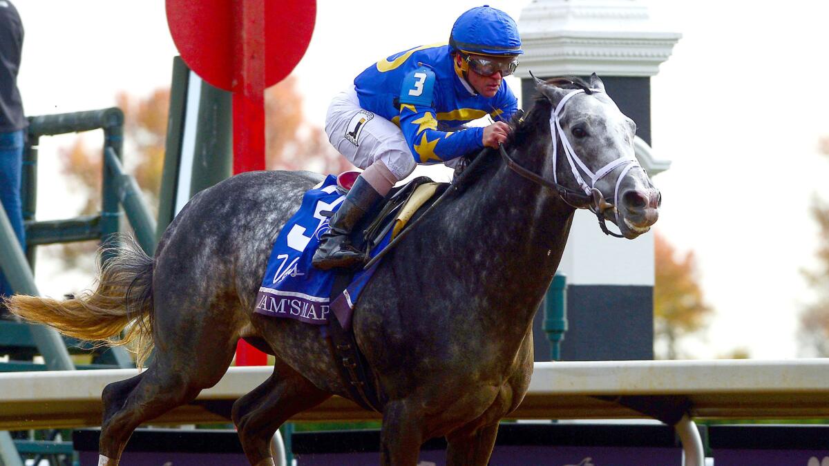 Jockey Javier Castellano rides Liam's Map to the win in the Breeders' Cup Dirt Mile at Keeneland Racecourse on Friday.