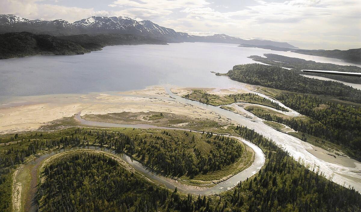 Located at the base of the Alaska Peninsula, Lake Iliamna and its tributaries are the headwaters of the Bristol Bay region, one of the richest salmon fisheries in the world. A proposed mine would threaten the area, the EPA has found.