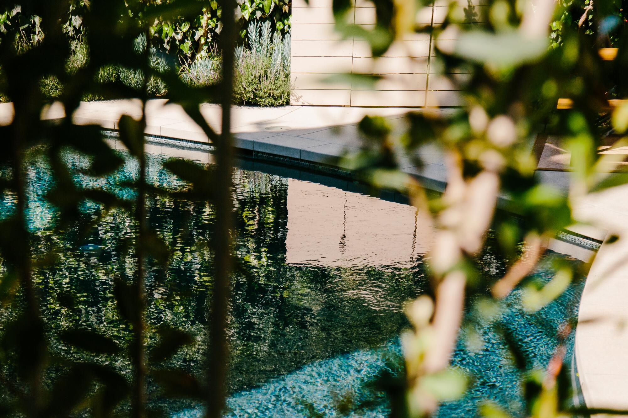 A detail of a swimming pool. 