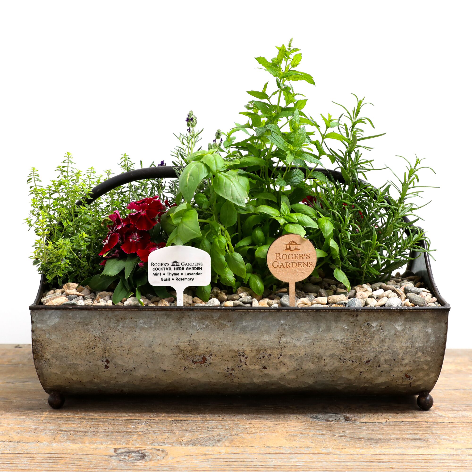 A plant-filled garden in a tray.