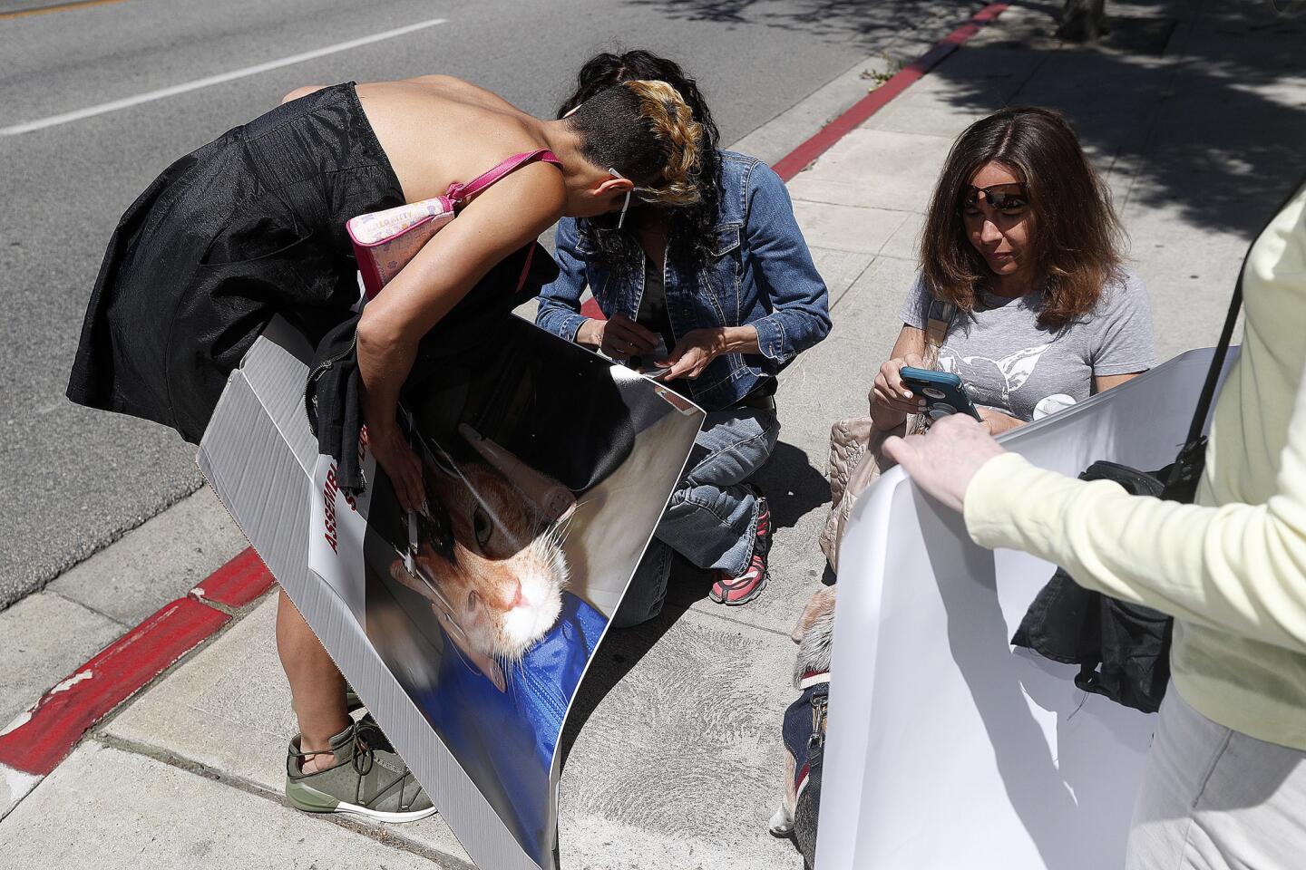 Women with Progress for Science, on a very windy afternoon, attempt to put together protest signs at California Assemblymember Laura Friedman's district office in Burbank on Wednesday, April 10, 2019. Assemblymember Friedman introduced AB-700, a bill that would block access to information about how animals are being used in science.
