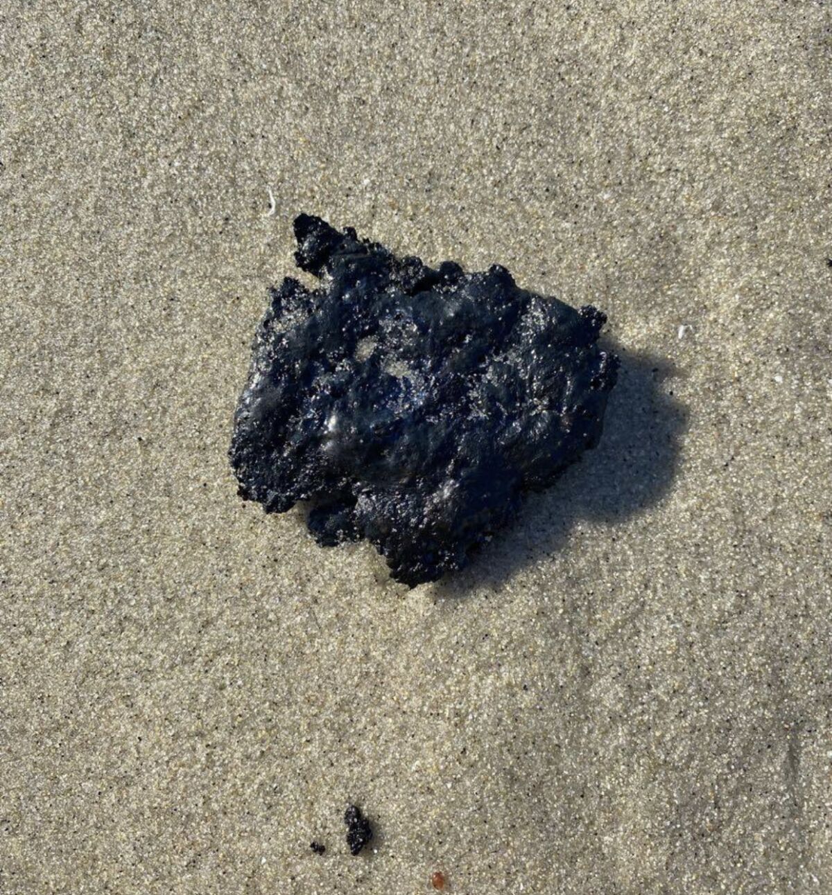 Marvin Liu, a resident of La Jolla's Barber Tract neighborhood, says he saw this tarball Oct. 17 at Marine Street Beach.