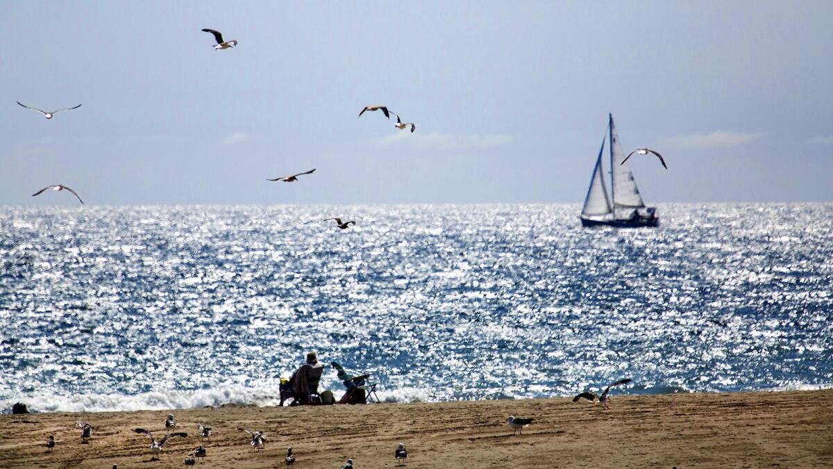 A maritime scene at Will Rogers State Beach.