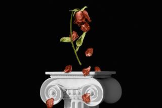 A withered rose floats above a pedestal