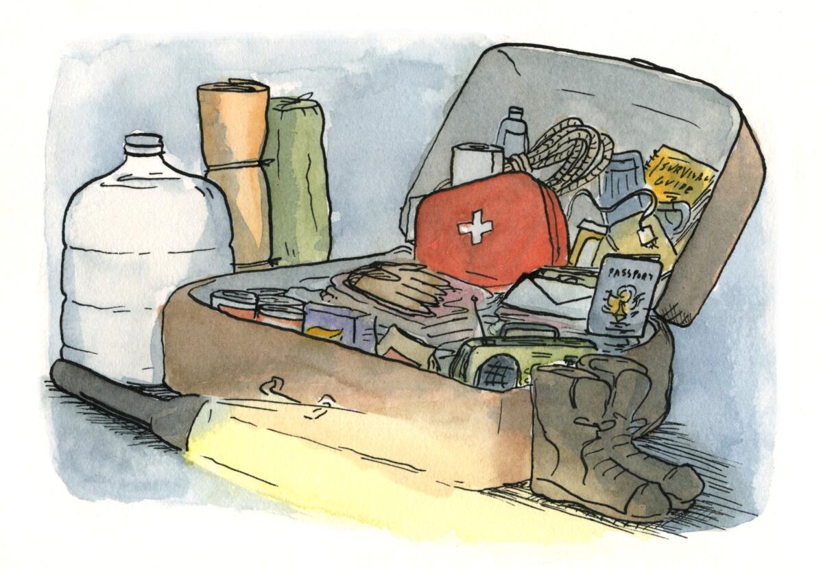 An illustration of a suitcase with emergency provisions. 