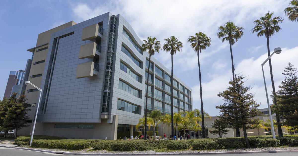 CSU employee who oversaw sexual misconduct and discrimination cases alleges retaliation