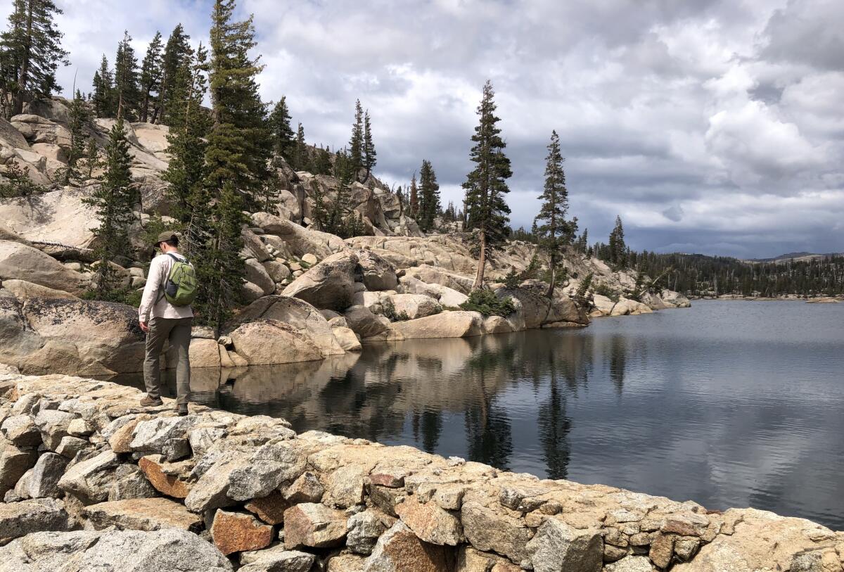 Y Meadow Lake in Emigrant Wilderness