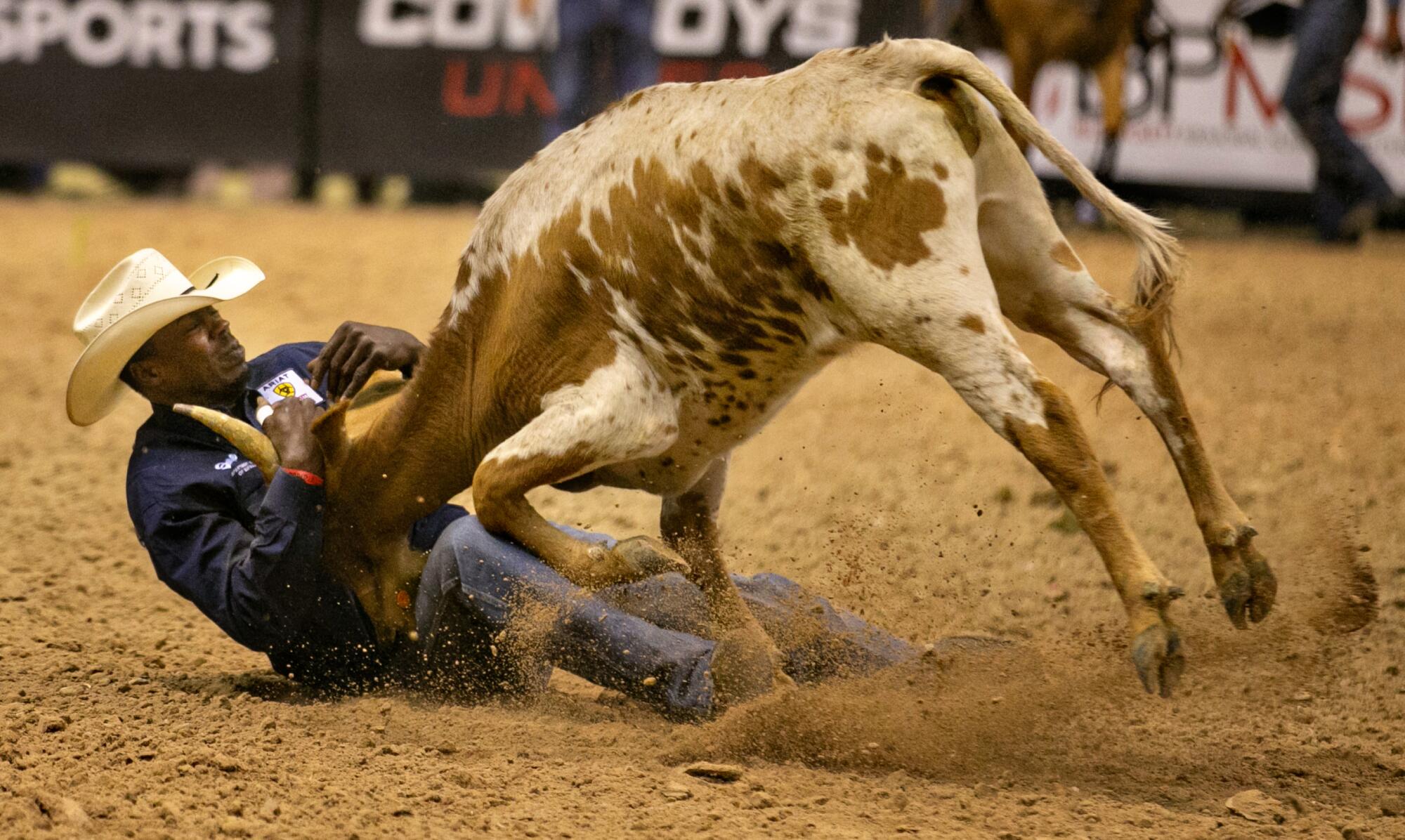 A cowboy tries to wrestle a calf to the ground in the bulldogging competition 