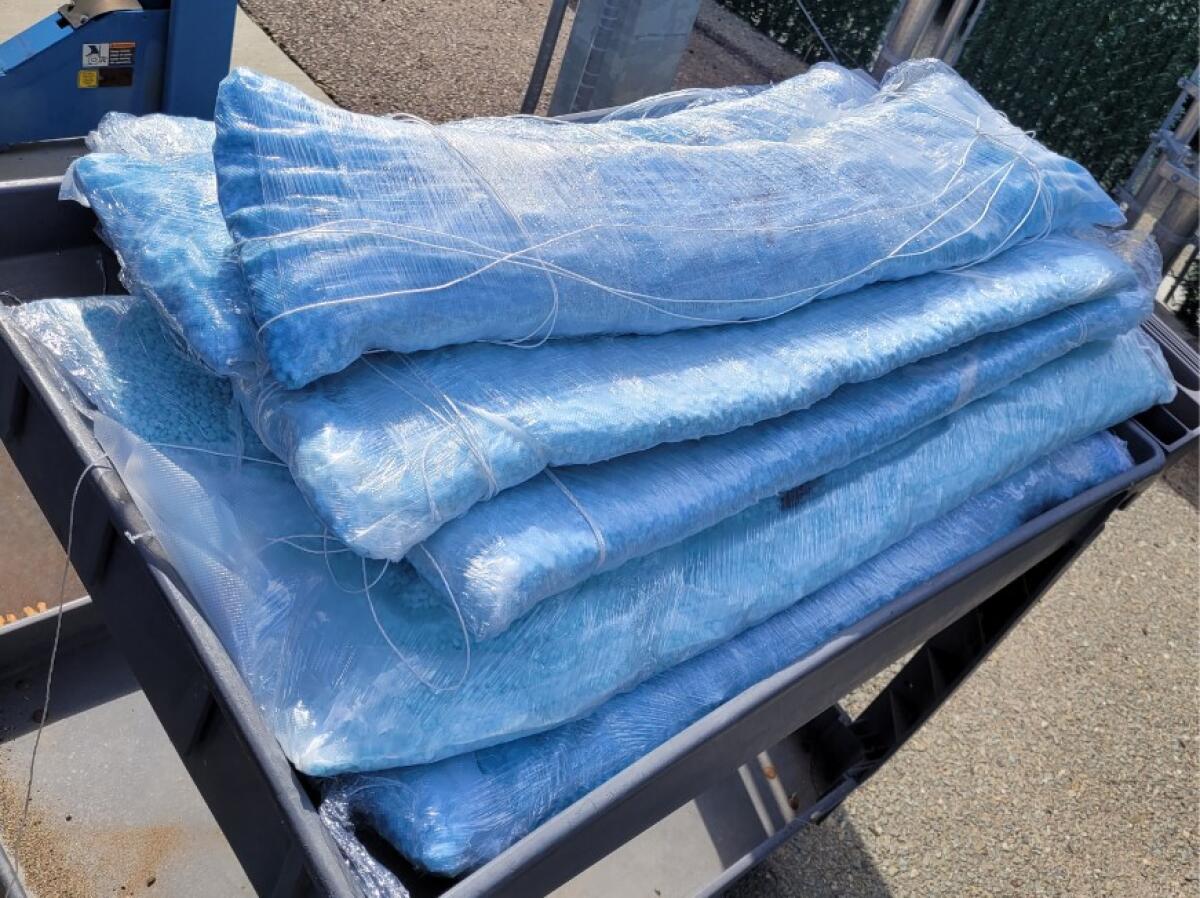 Flat blue packages lie atop a rolling cart.