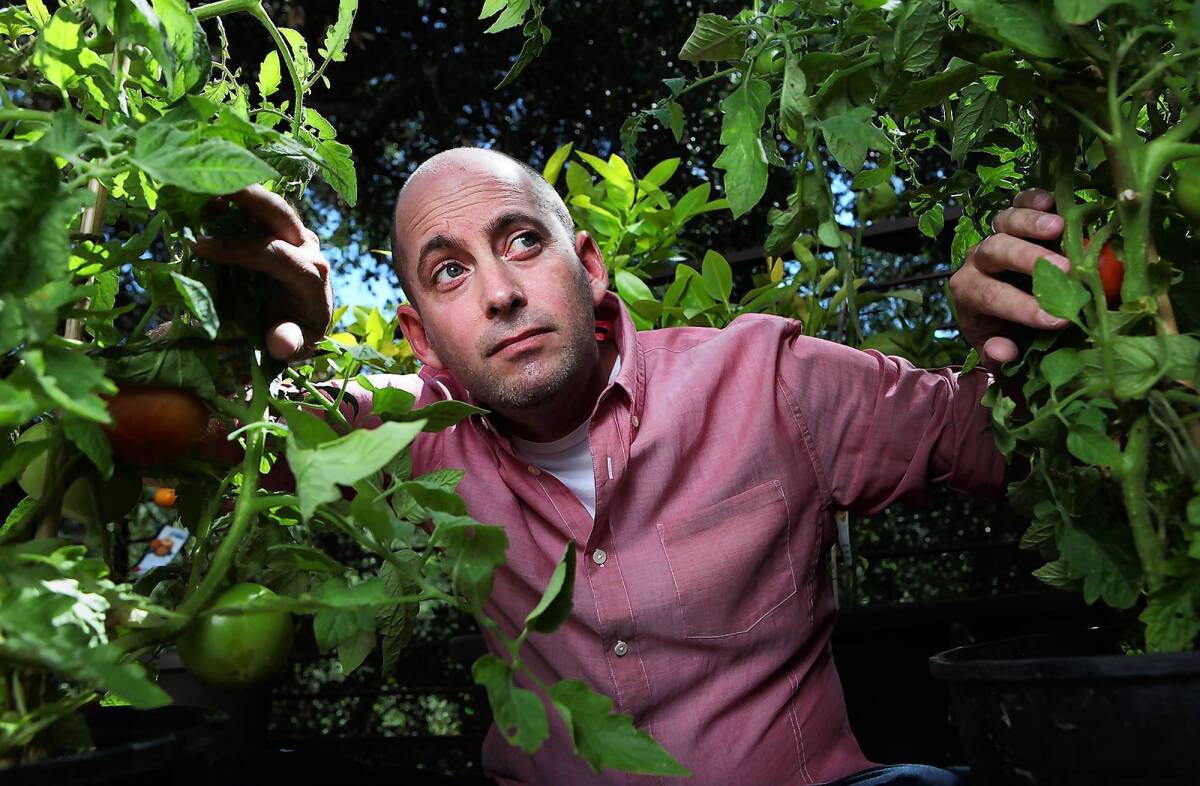 "Turbo" director David Soren among his backyard tomato plants in Sherman Oaks.