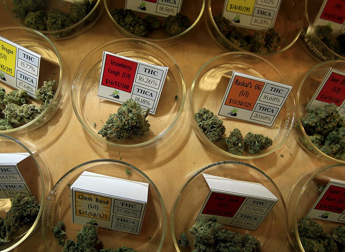 A file photo shows varieties of marijuana available to patients at Harborside Health Center in Oakland.