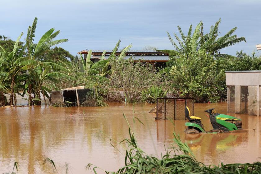Floodwaters on a farm at MokulÄÊ»ia along Farrington Highway in Waialua, Hawaii, on March 22, 2026. (Thomas Heaton/Honolulu Civil Beat via AP)