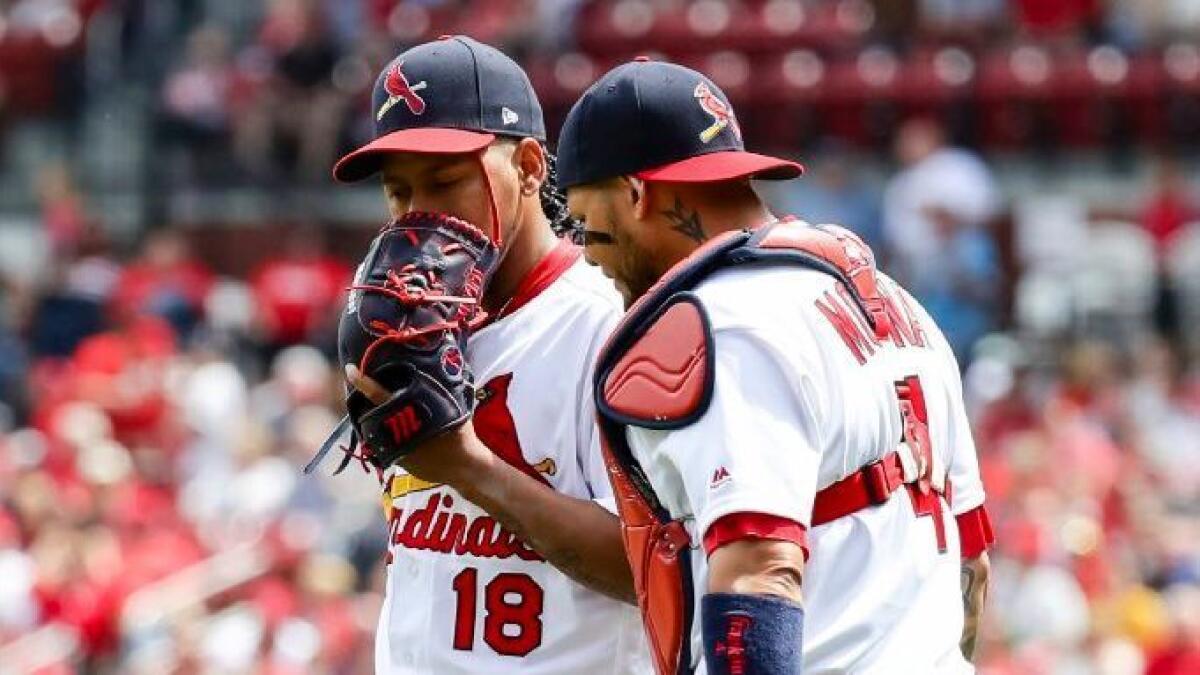 Community Spotlight: Cardinals Make Lunch Delivery To Hispanic