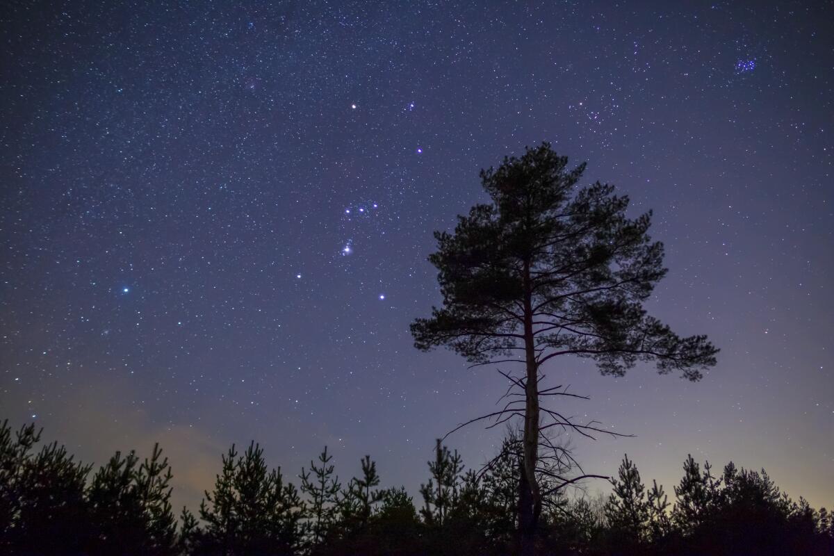 The constellation Orion.