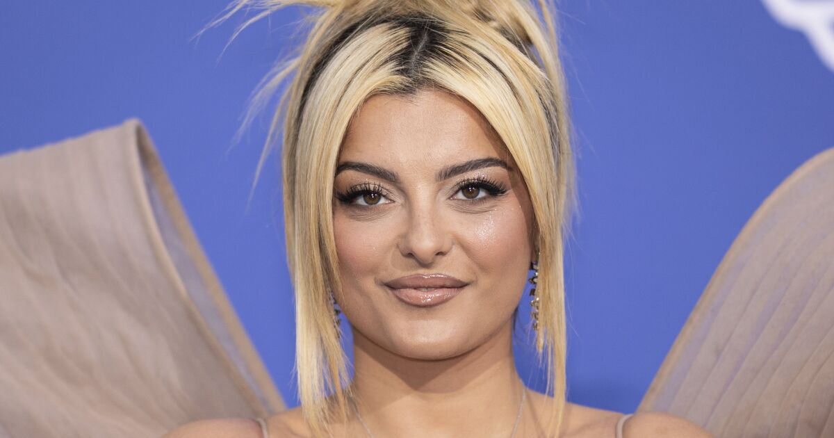 Bebe Rexha enthusiast points out why he hurled a mobile phone at her. But it truly is not ‘funny’ at all