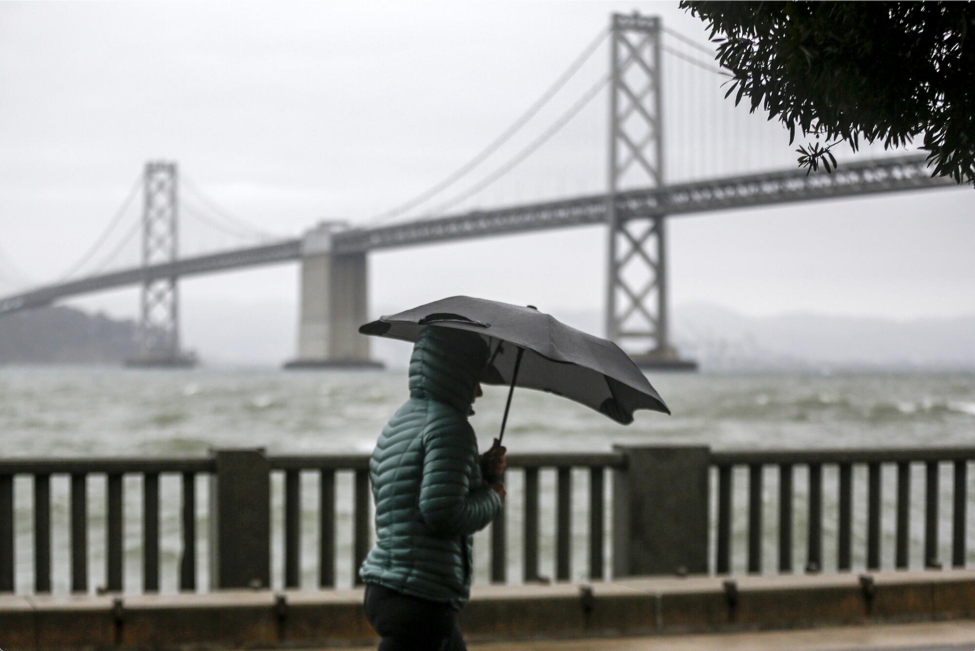 A person in a coat with an umbrella walks next to a rail overlooking a bridge over water