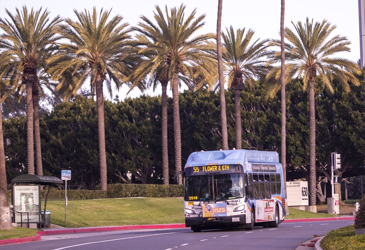 A bus on a city street with palm trees in the background.