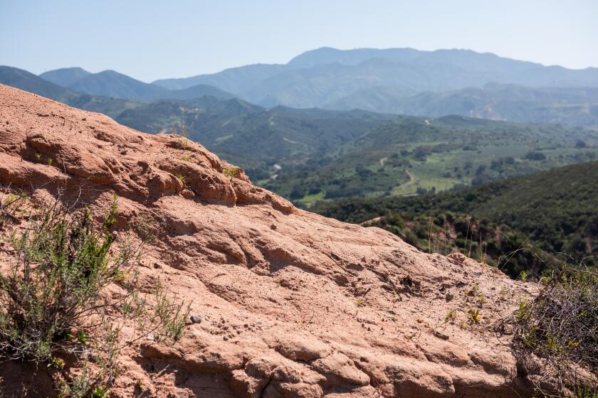 Red Rock Wilderness is a 1,500-acre area within OC Parks' Irvine Ranch Open Space.