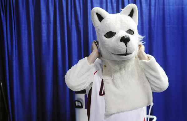 Jonathan the Husky gets dressed before UConn's game against Florida State Tuesday, March 30, 2010. The Huskies and Seminoles were playing for a spot in the Final Four; UConn was trying for its 76th consecutive victory.