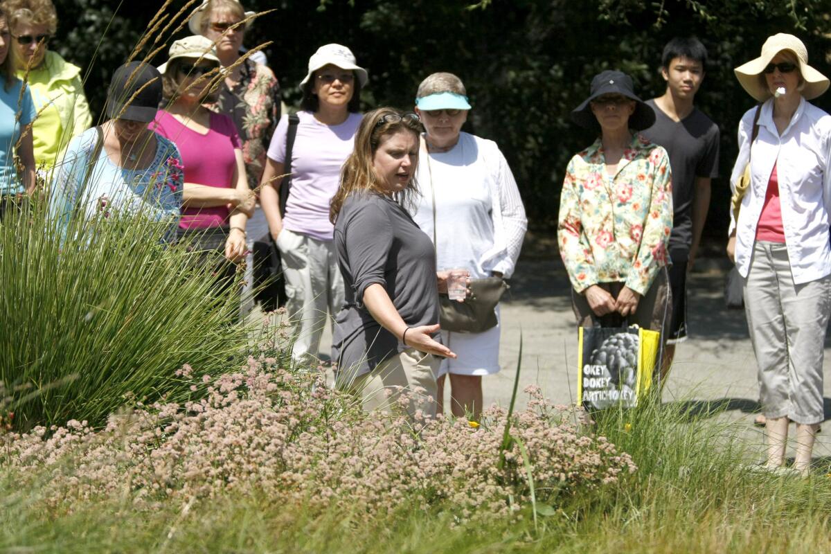 Descanso Gardens director of horticulture and garden operations Rachel Young, center, talks about drought-tolerant plants during the water-wise gardening class for its Get Dirty series, in La Cañada Flintridge on Tuesday, July 15, 2014.