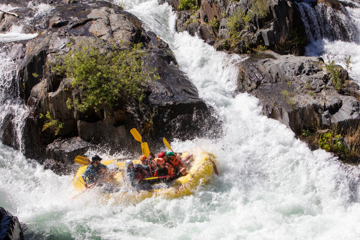 A group of people whitewater rafting on the Middle Fork of the American River.