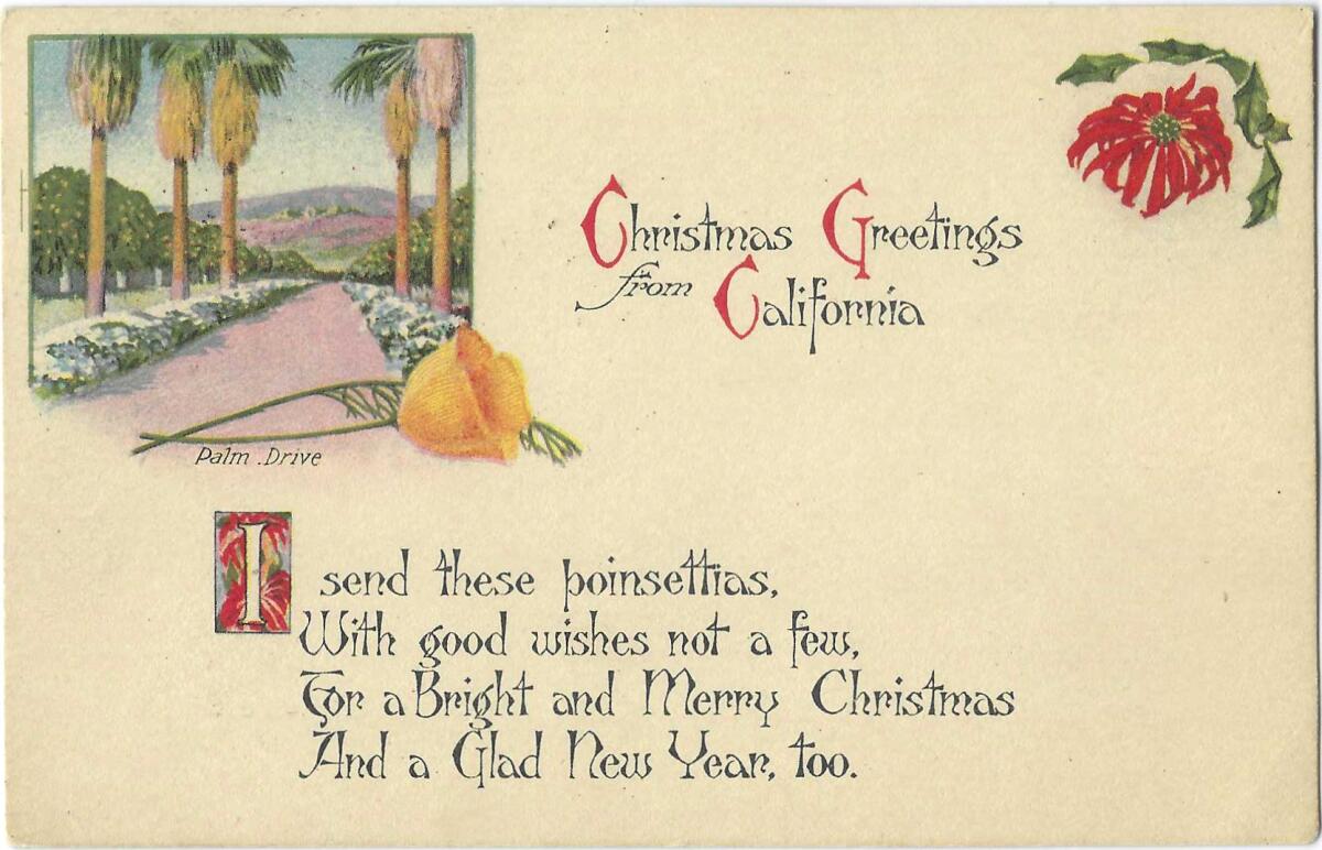 Postcard shows an illustration of Palm Drive framed by a poppy, plus a Christmas poem.