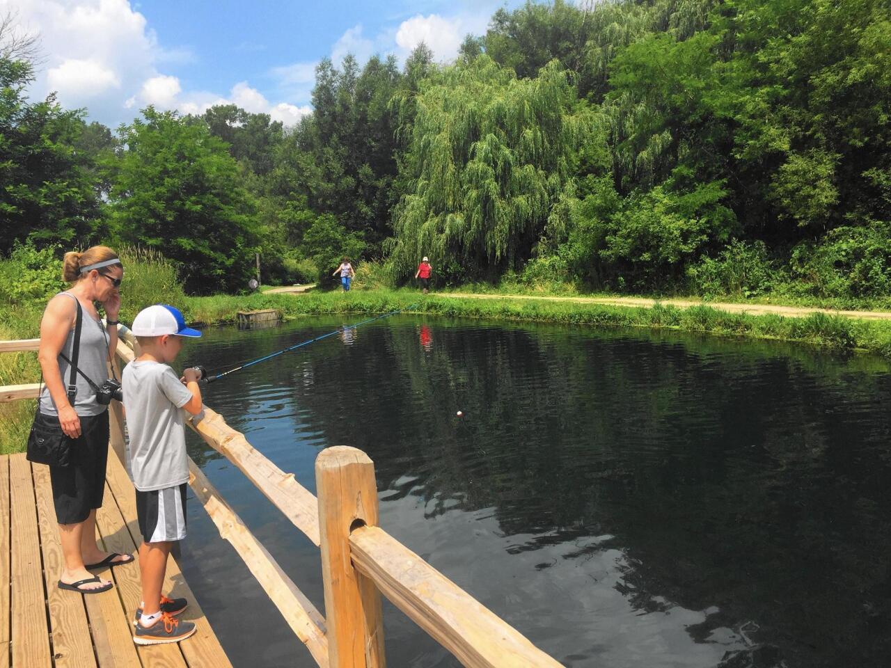 People can fish year-round at the public trout pond at Rushing Waters Fisheries near Palmyra, Wis., about a two-hour drive from Chicago.