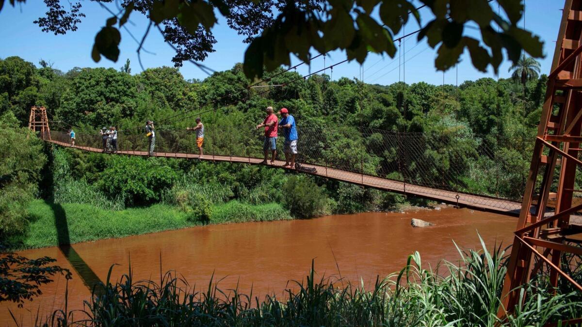 The Paraopeba River is brown after the collapse of a waste dam at an iron-ore mine belonging to Brazil's giant mining company Vale in southeastern Brazil.