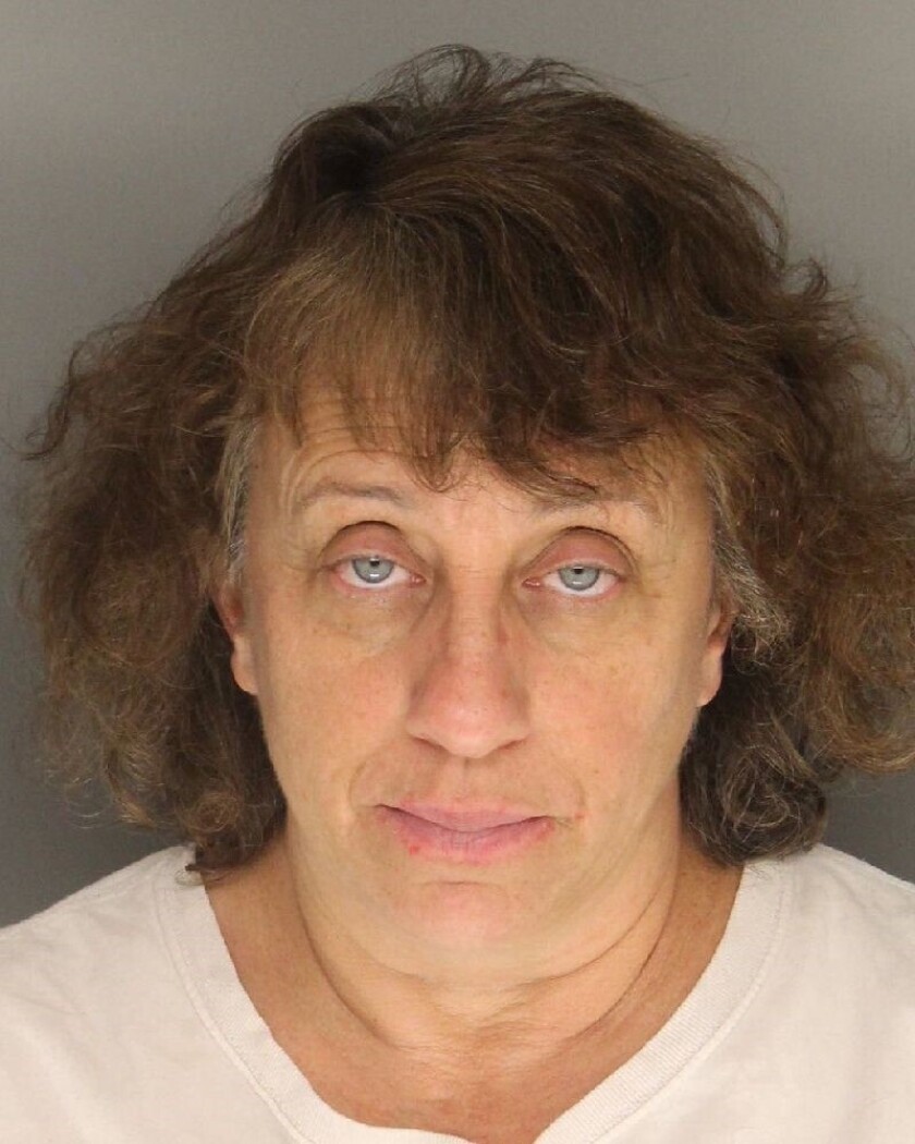 Theresa Colosi is facing several felony charges after authorities say she beat a woman and tried to kidnap her own son during a supervised visit.