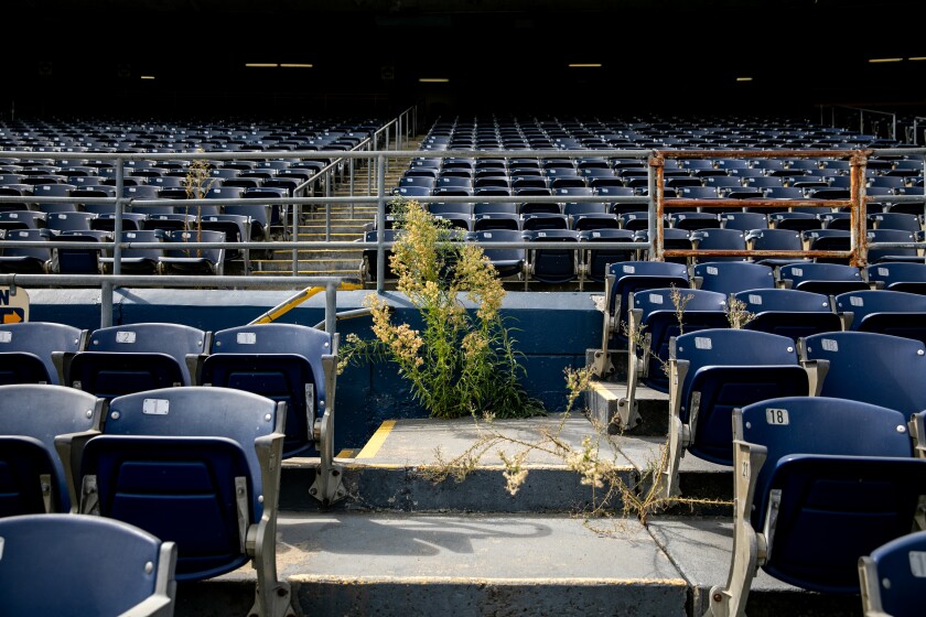 Weeds sprout up from the steps in between rows of empty blue stadium seats