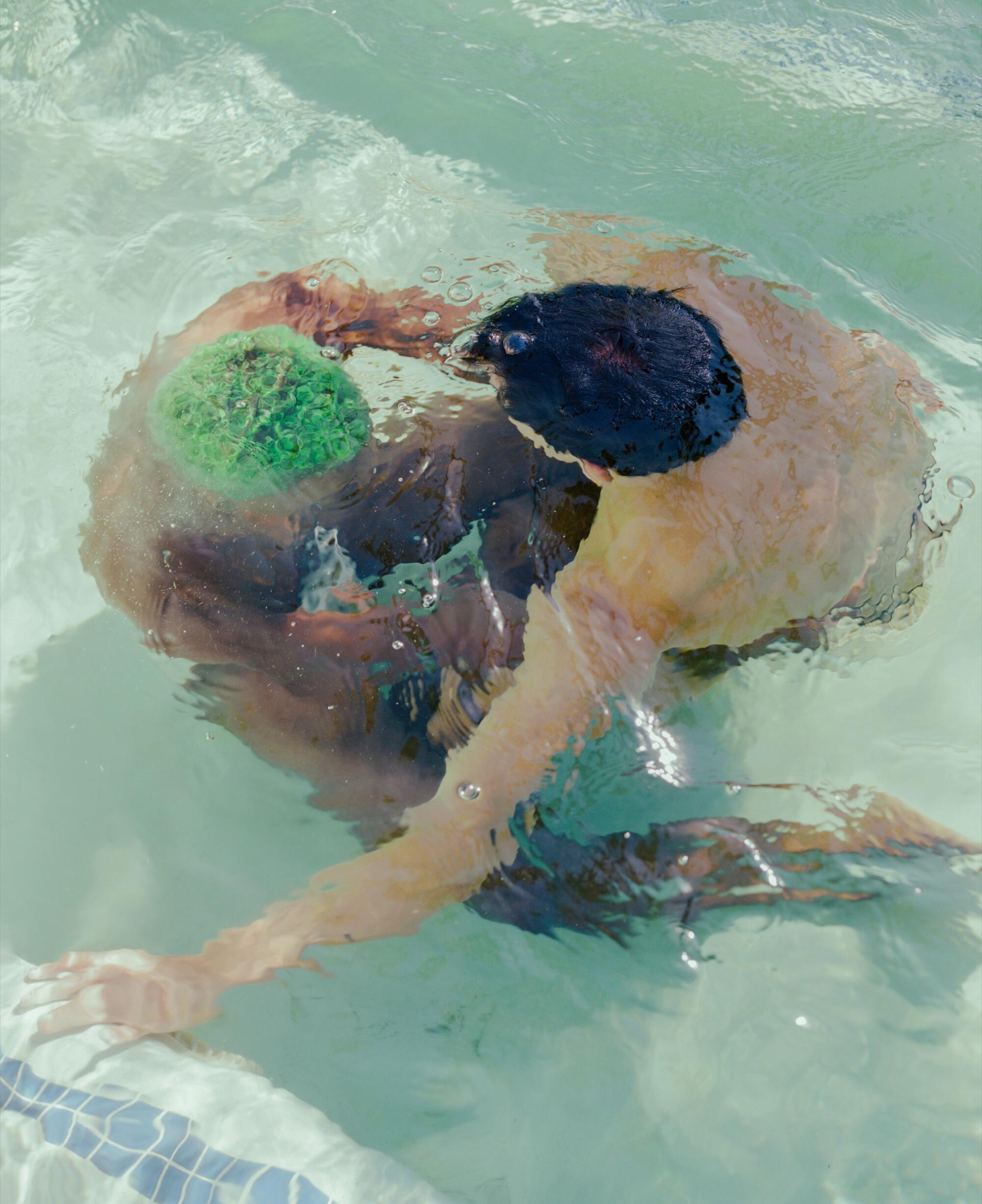 Seen from above, two men face each other in a swimming pool.