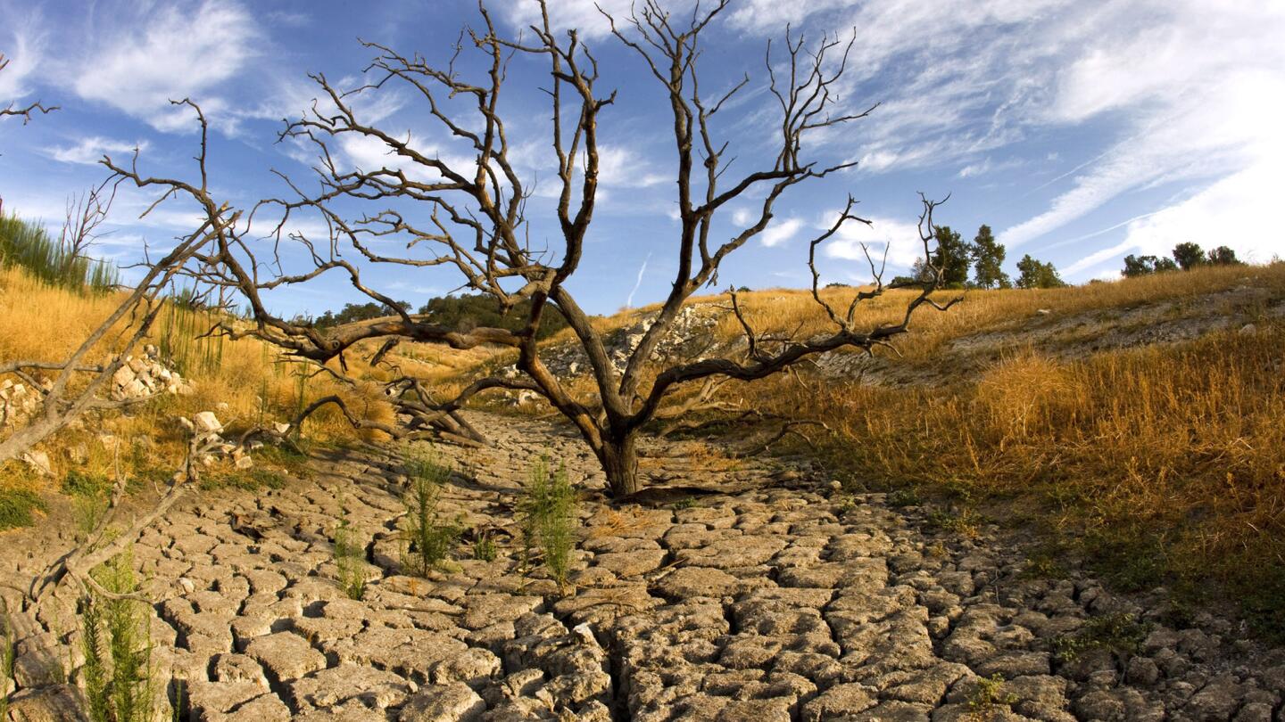 On Assignment: Focusing on the effects of California's persistent drought