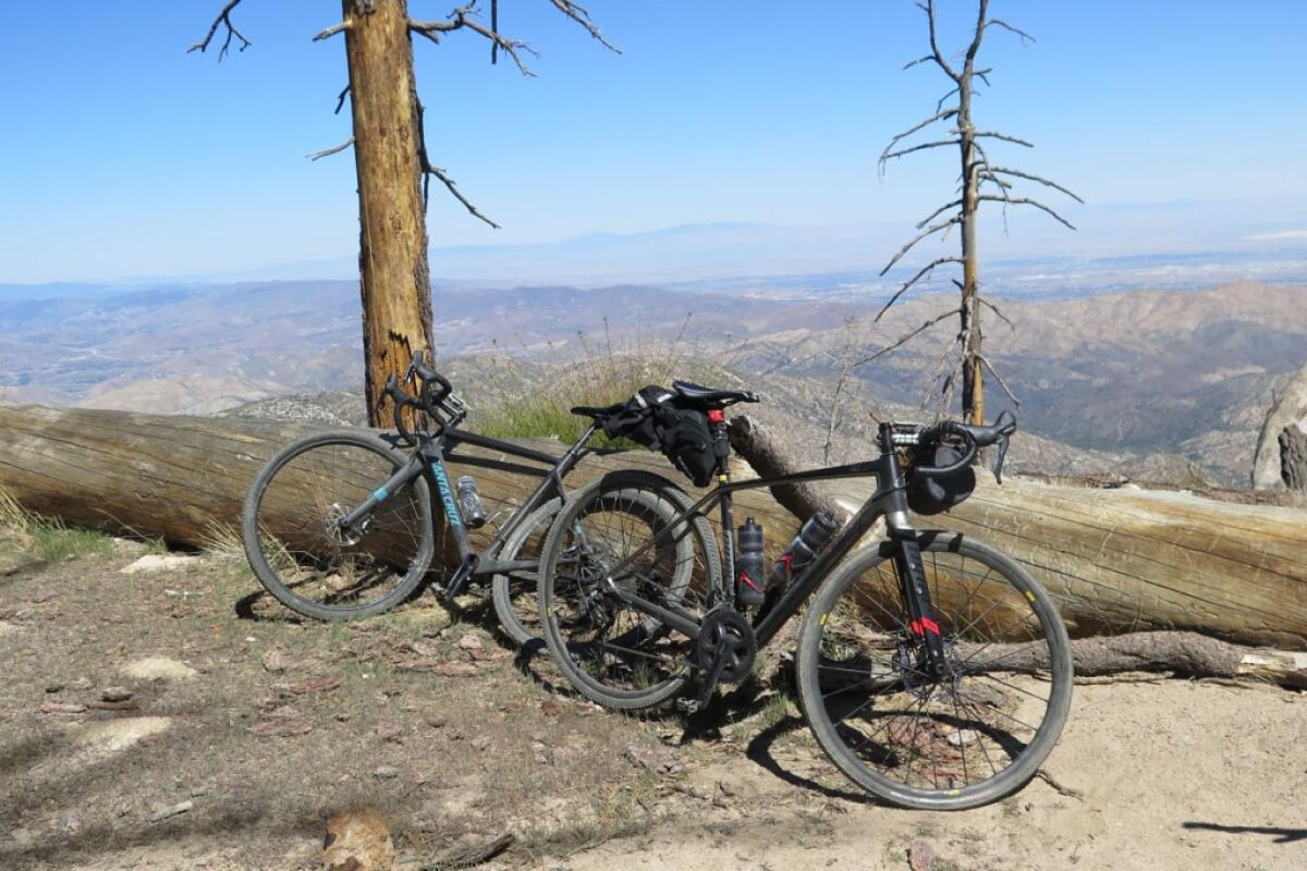 Bicycles lean against a fallen tree, with scrawny trees and rolling hills in the background