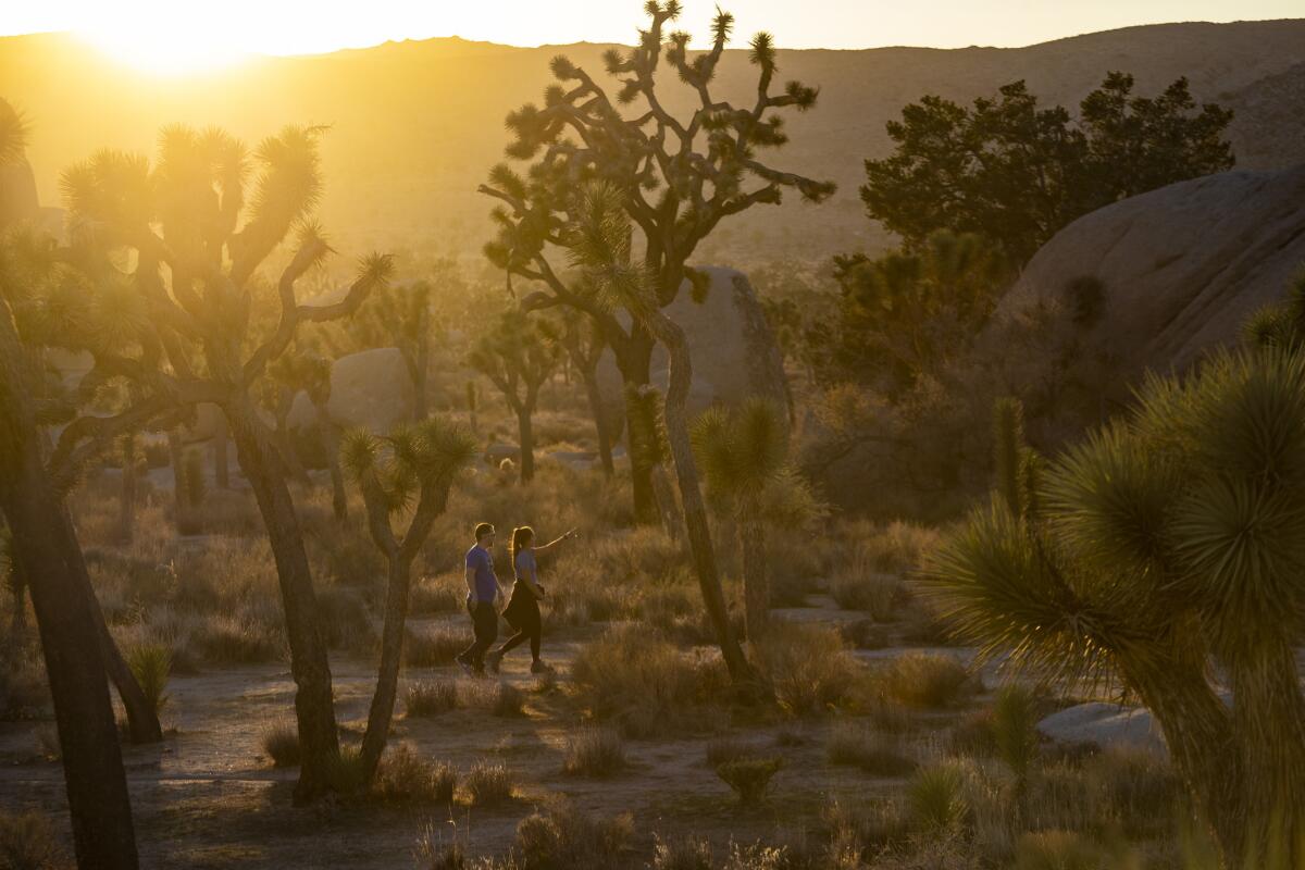 A couple walk along a hiking trail in the Hidden Valley area of Joshua Tree National Park.