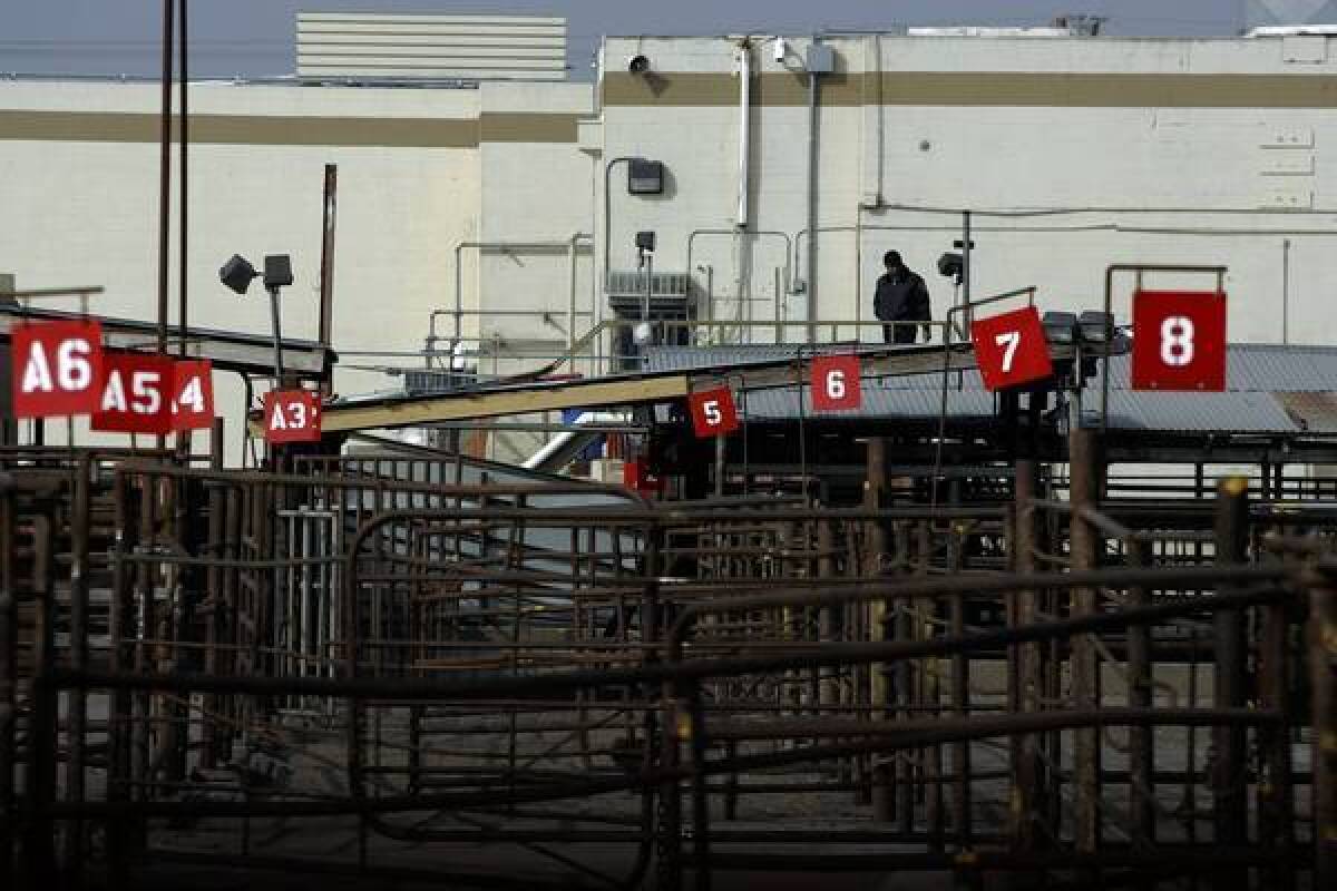 A security guard watches over empty cattle pens at Hallmark/Westland Meat Packing Co. in Chino.