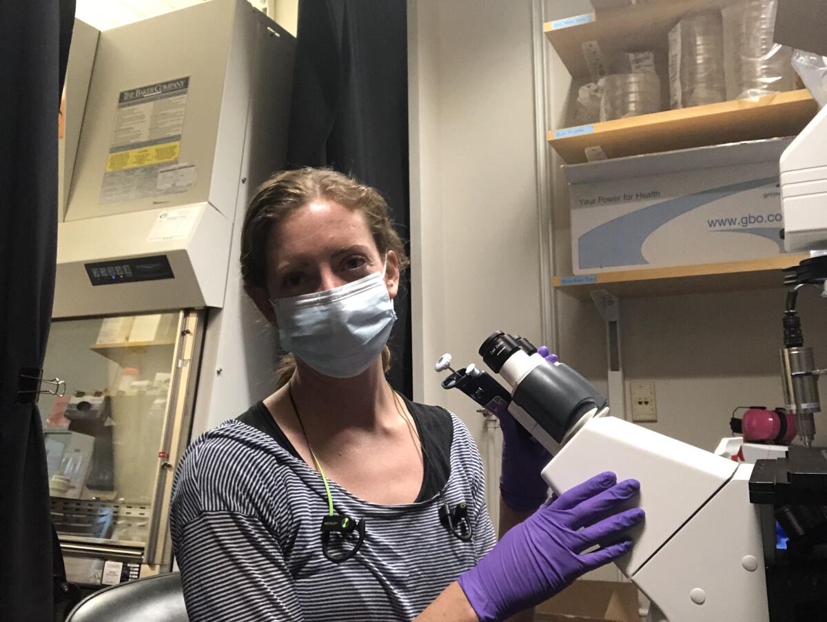 Brigitte Naughton uses a microscope in the lab at Yale. 