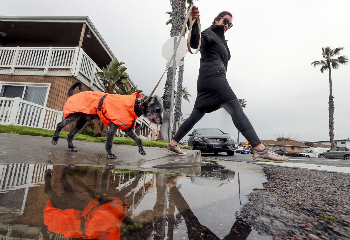 Ovid, a 5-year-old mixed breed, and owner Melanie McComsey hop over a puddle on a rainy day in March 2020 in Oceanside.