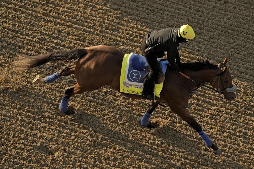 Kentucky Derby entrant Practical Move works out at Churchill Downs Thursday, May 4, 2023, in Louisville, Ky.