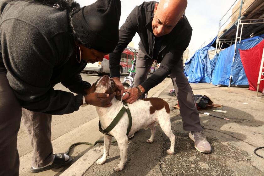 LOS ANGELES, CA - JANUARY 11, 2023 - - Veterinarian Dr. Kwane Stewart, known as, "The Street Vet,'' gives a Parvo vaccine injection to Pepper as owner Christina Crayton, 39, helps hold him in Skid Row in Los Angeles on January 11, 2023. Dr. Kwane, from San Diego, visits Skid Row twice a month to treat the dogs and cats of the homeless. Dr. Stewart has more than twenty years of experience and is the founder of Project Street Pet, a nonprofit organization devoted to caring for the lives of the homeless. (Genaro Molina / Los Angeles Times)