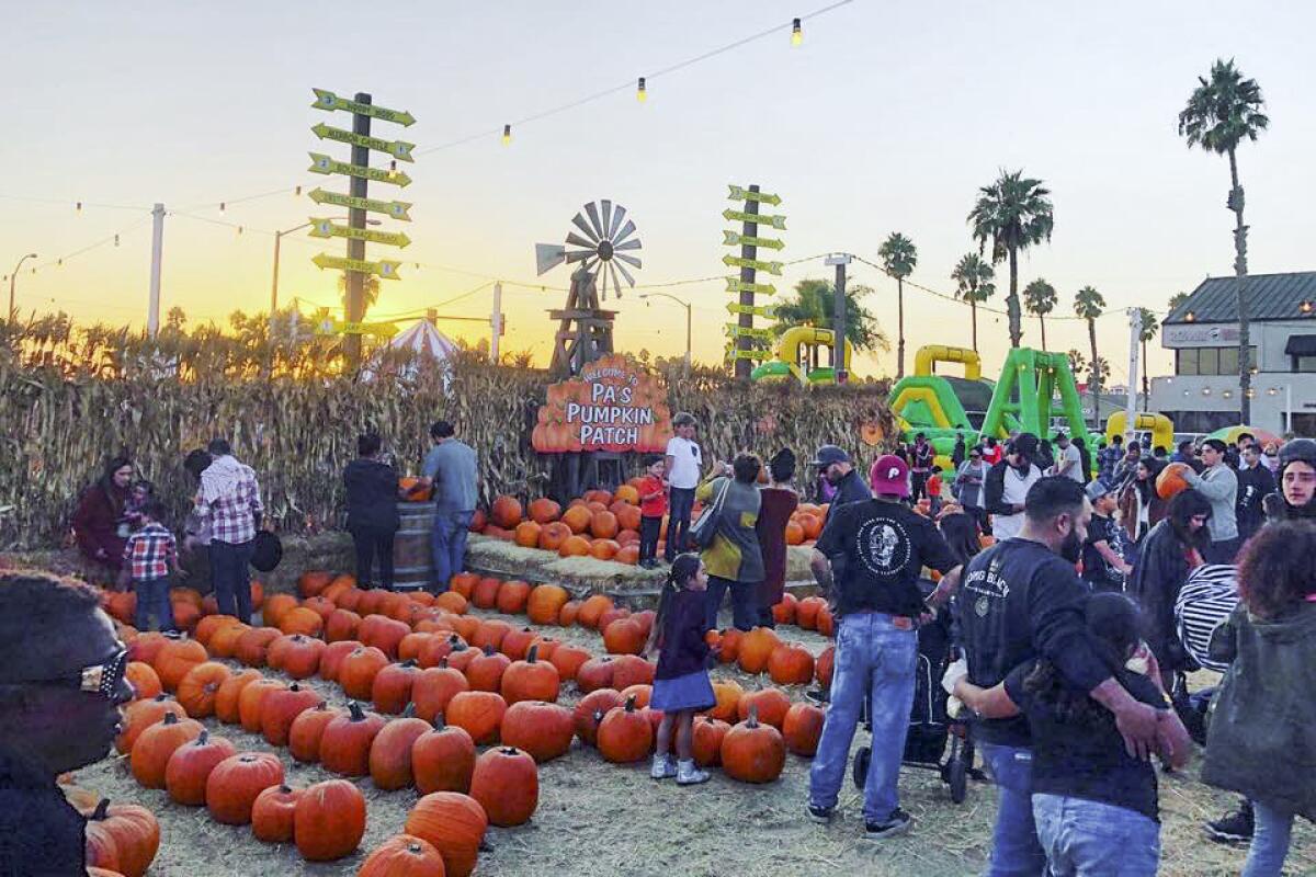 Customers gather at Pa's Pumpkin Patch.