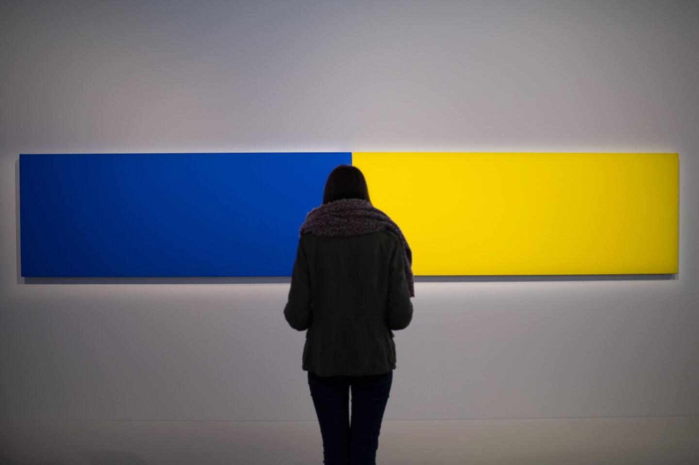 A visitor looks at the artwork "Two Panels - Blue-Yellow" (1970) by artist Ellsworth Kelly as part of the exhibition "J'aime les panoramas" (I love the panoramas) at the Museum of European and Mediterranean Civilisations (MUCEM) in Marseille, France in November 2015.