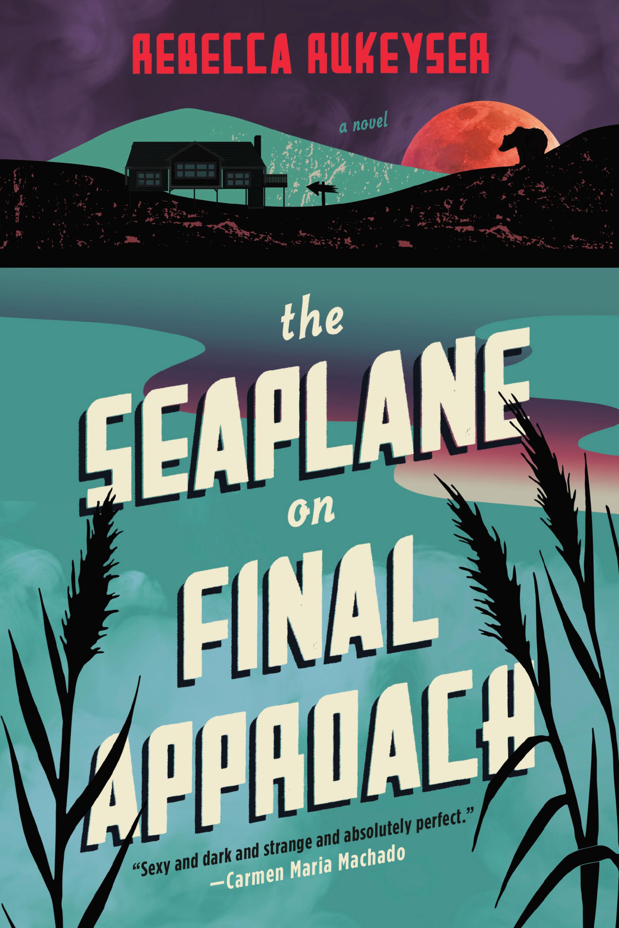 Illustration of water with reeds sticking out on cover of "The Seaplane on Final Approach," by Rebecca Rukeyser