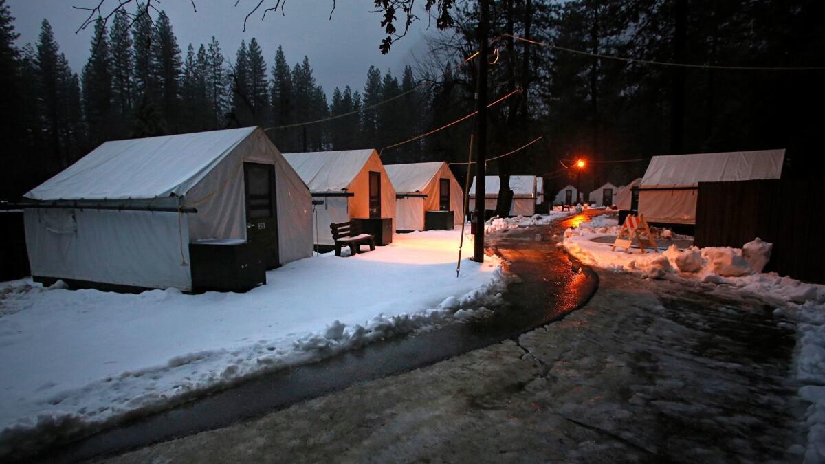 Tents at Half Dome Village in Yosemite National Park, where a woman was killed Sunday by a falling tree in the village.