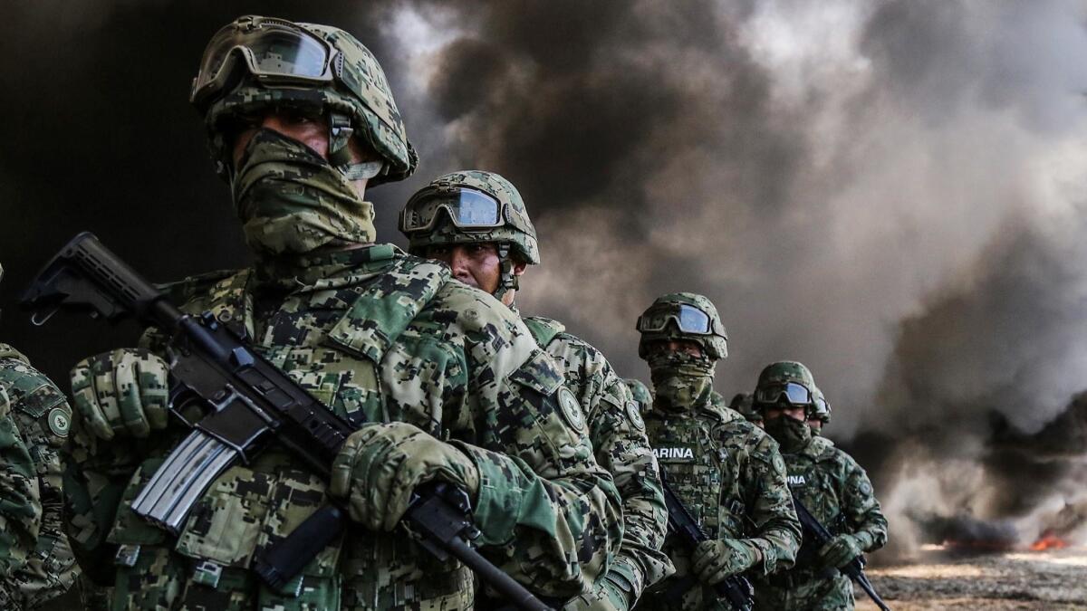 Mexican soldiers burn seized cocaine and marijuana in the city of Acapulco.