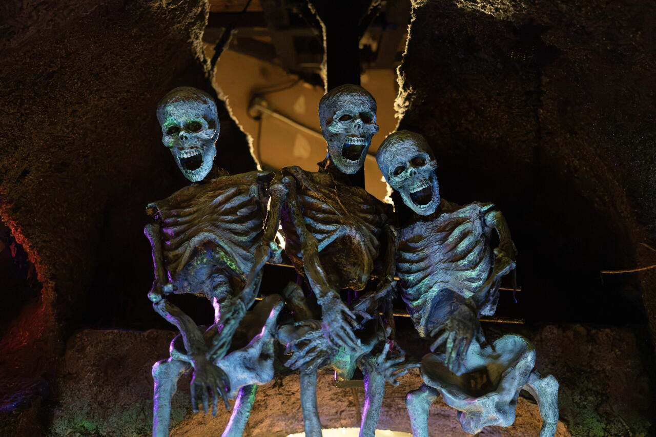 Skeletons at Disneyland