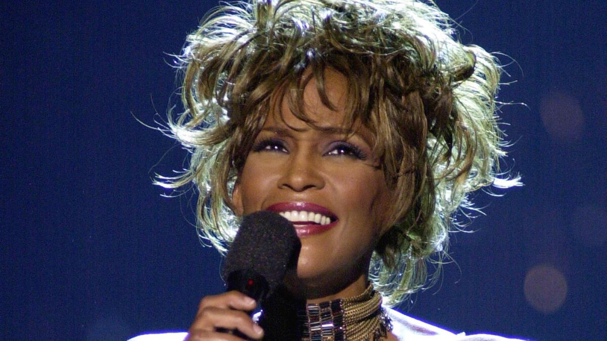 Whitney Houston is among the nominees for the Rock Hall's 2020 class.