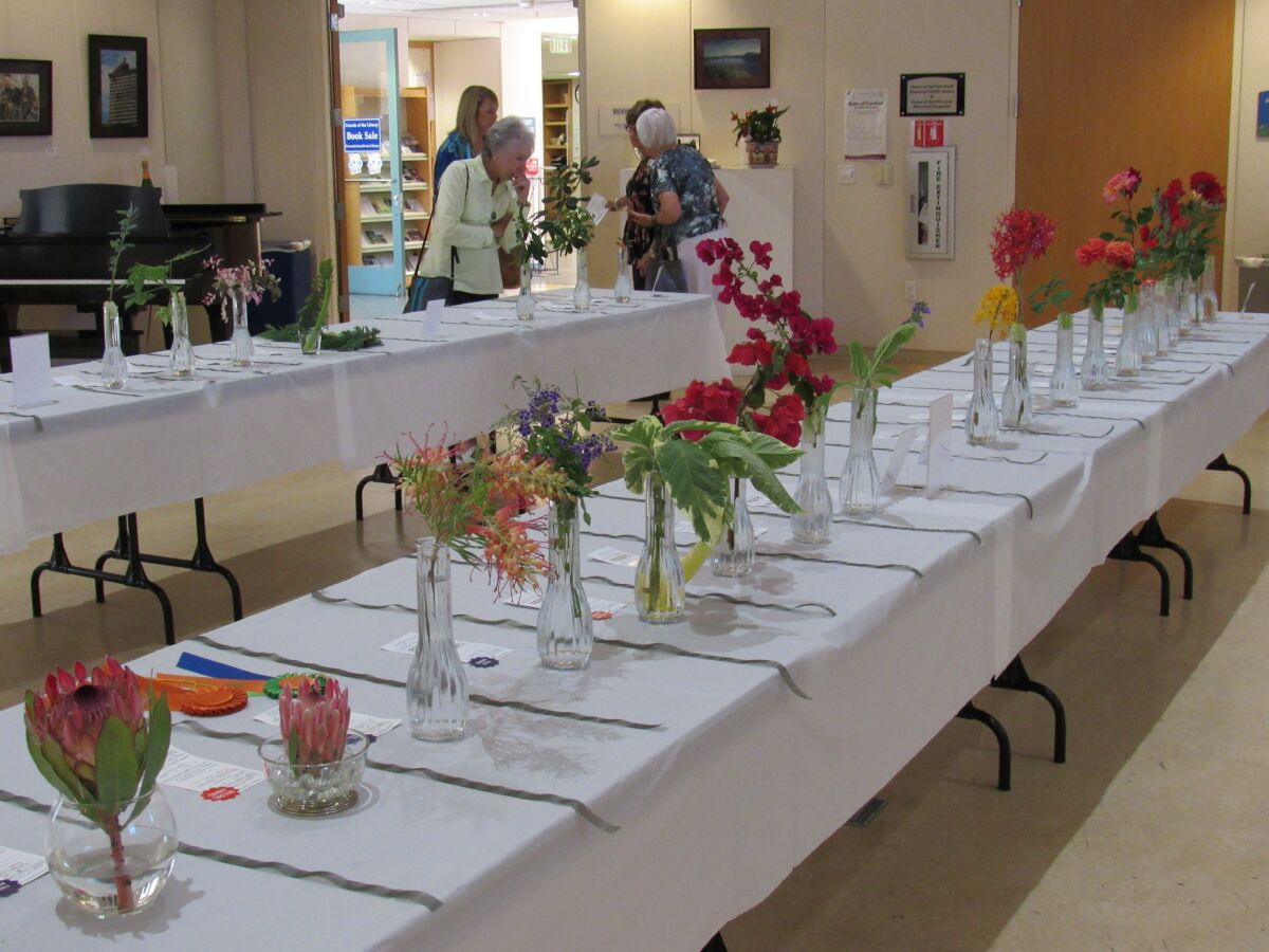The Point Loma Garden Club flower show must conform to standards set in the National Garden Club Handbook.