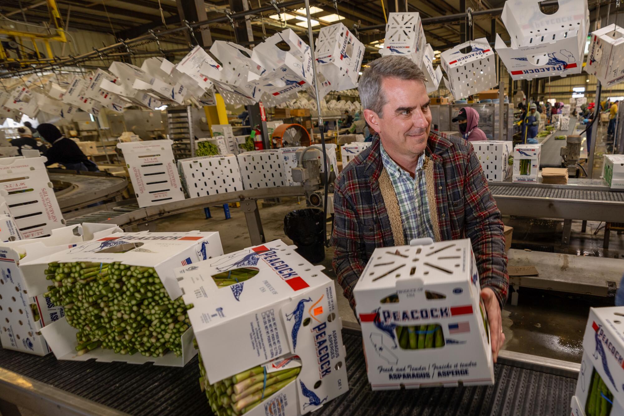 A man carries a box of asparagus off a conveyor belt at a packing house.