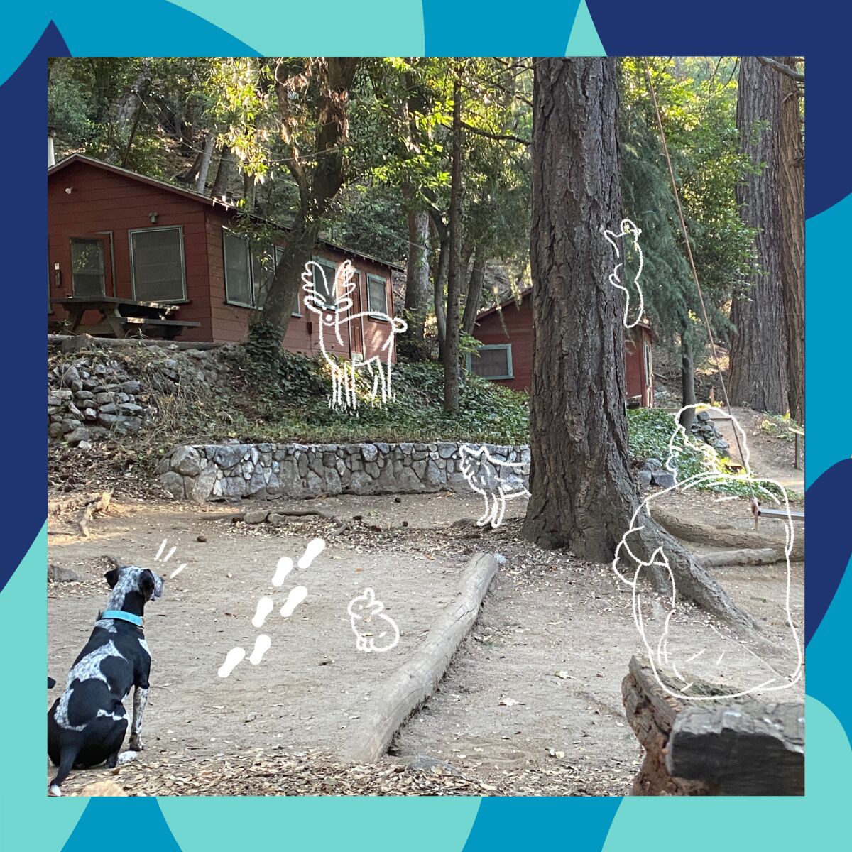 camp in the San Gabriel Mountains