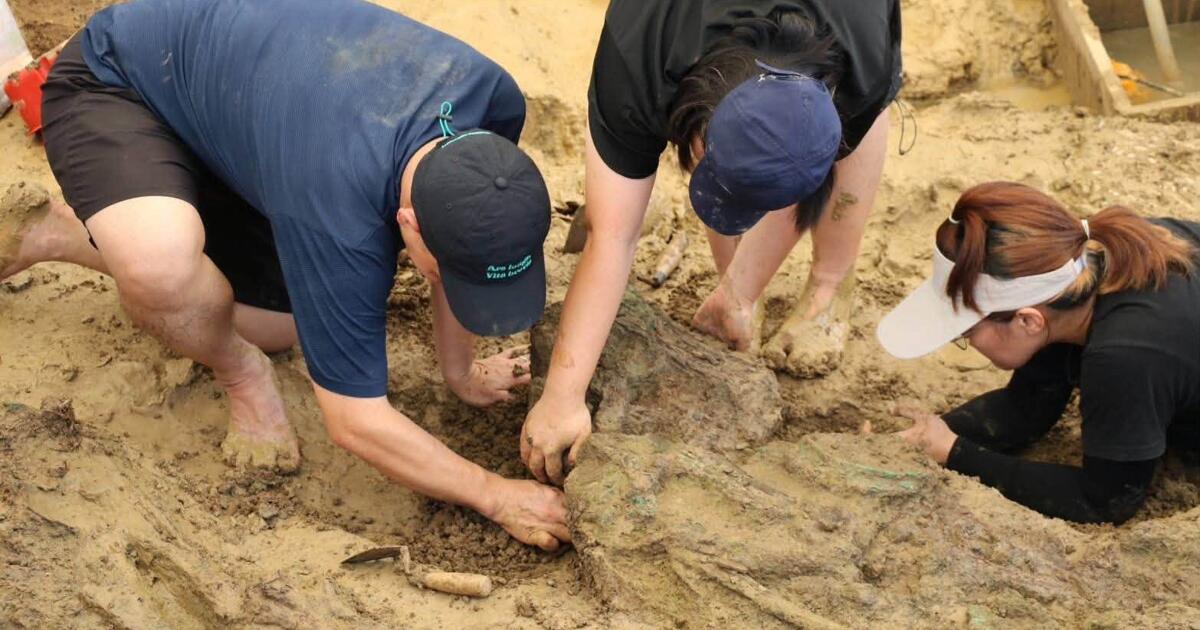 Des anneaux d’or vieux d’environ 2 000 ans sont extraits en Thaïlande